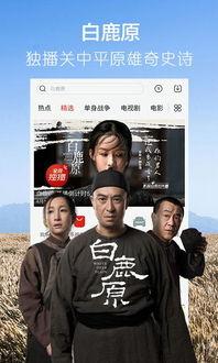 爆料王家老爷子视频下载,独家下载与幕后真相曝光